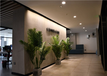 廖明耀訴龍南縣人民政府房屋強制拆遷案